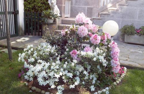 Gallarate Cama Y Desayuno | B&B LE MAGNOLIE