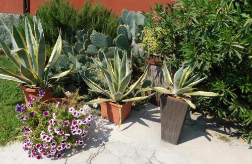 Povegliano Veronese Cama Y Desayuno | B&B Le Stanze di Amelie