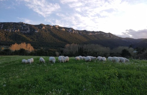 Dorgali Cama Y Desayuno | B&B Littu