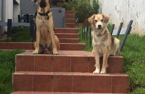 Las Tolas Casa | B & B Los Mastodontes