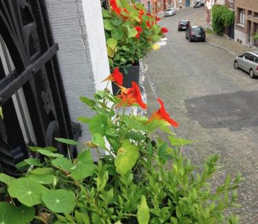 Liege Cama Y Desayuno | B&B Matin Tranquille