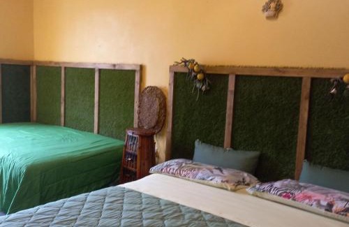 Reggio Calabria Cama Y Desayuno | B&B Profumo di Bergamotto