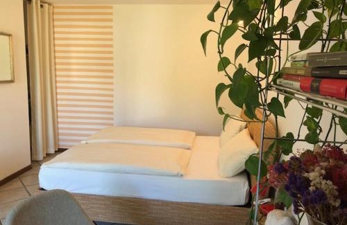 Nord-Est Cama Y Desayuno | B&B Romy Rocker