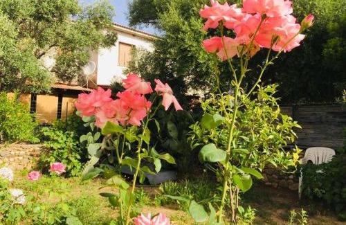 Suaredda-Traversa Cama Y Desayuno | B&b Sa Domo