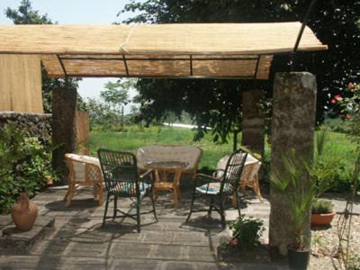 Zafferana Etnea Cama Y Desayuno | B&B Sotto i Pini