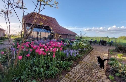 Poperinge Cama Y Desayuno | B&B Stefans Pottery