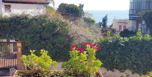 Aci Trezza Cama Y Desayuno | B&B Stella Marina