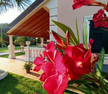Casarza Ligure Cama Y Desayuno | B&B Terra Di Liguria
