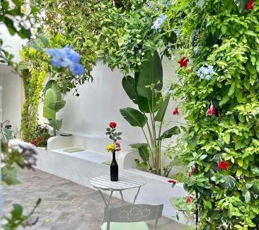 Volla Apartamento | B&B Toci