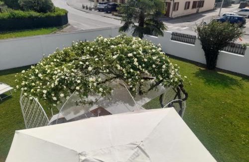 Quinto di Treviso Cama Y Desayuno | B&B Villa Griselda