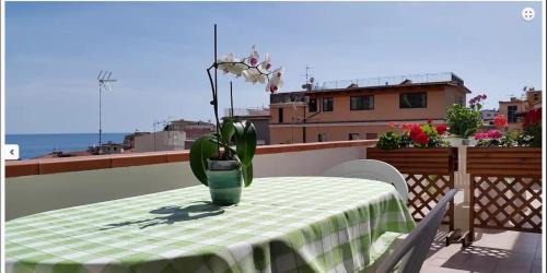 Marina Di Camerota Cama Y Desayuno | B&B Villa Palma