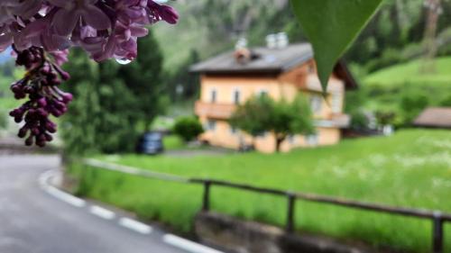 Predazzo Cama Y Desayuno | B&BeautyFol Dolomites B&B adults only