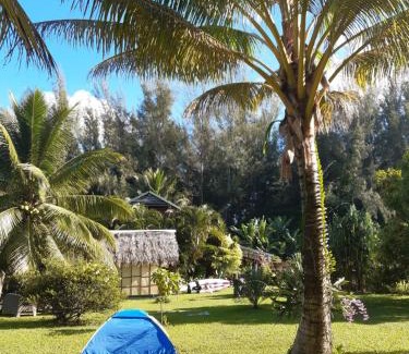 Huahine Cama Y Desayuno | B & Bee Wild Island - Nature Song