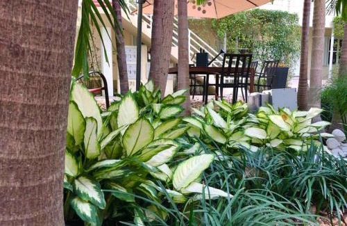 Edgewater Apartamento | B01 Minutes from the beach Studio Midtown Wynwood