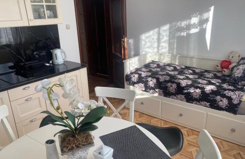 Cetniewo Apartamento | Bałtycka Przystań Władysławowo - Apartament 1 piętro cała Kondygnacja