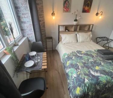 Chasse-sur-Rhone Apartamento | BACH studio BALNEO au calme parking gratuit