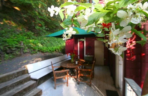 Guerneville Casa | Back in the Day! Redwoods! Walk to River!! BBQ Grill! Fast WiFi!! Dog Friendly!