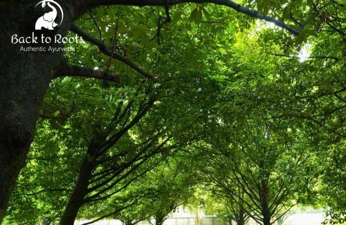 Irinjalakuda Complejo | Back to Roots Ayurveda Retreat
