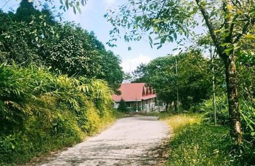 Kurseong Casa | Bae Lae View Homestay