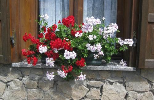 Bormio Apartamento | Baita al Pian