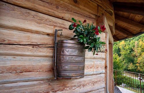 Arsie Chalet De Esquí | Baita Chalet Alabama