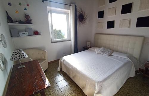 Baja Sardinia Casa | Baja Sardinia