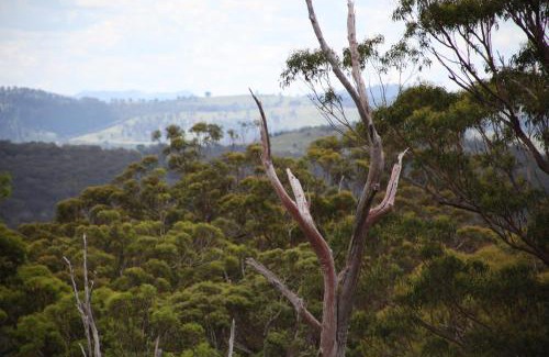 Forest Land Otro | Bajimba Eco Camp & and Farm Stay