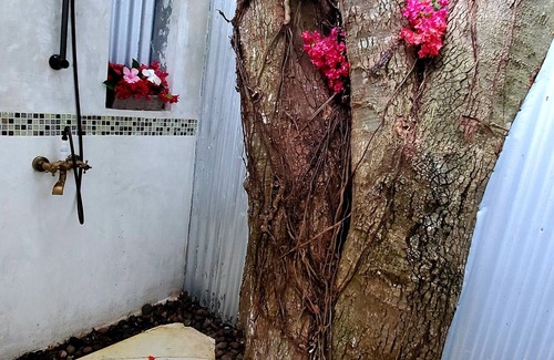 West End Cabaña | Bak A Yaad Eye Catching Cottage