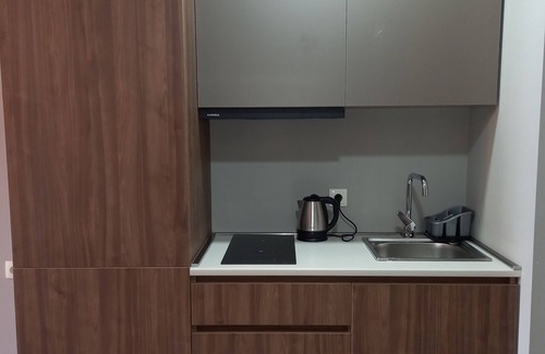 Bakuriani Apartamento | Bakuriani Crystal Loft 406