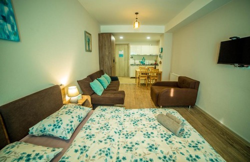 Bakuriani Hotel | BAKURIANI PLAZA A-208