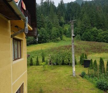 Baile Tusnad Apartamento | Balázs Holiday Apartment