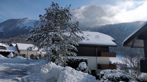 Thollon-les-Memises Apartamento | Balcony of lake Geneva