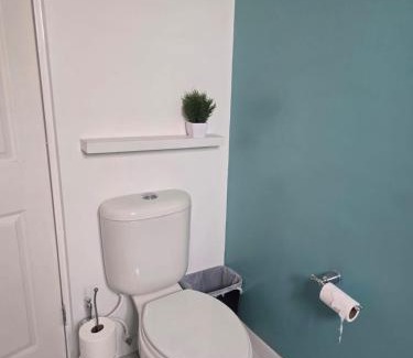 Chihuahua Casa | Baleares 2907