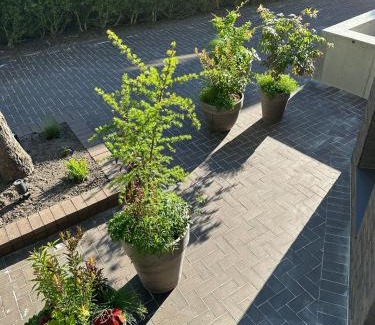 Palanga Casa | Baliò Villa