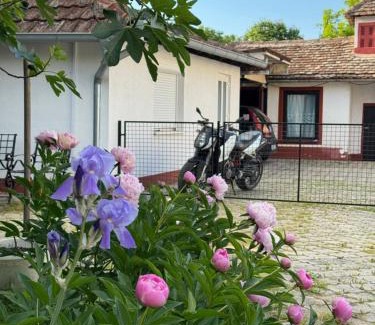 Sremska Mitrovica Apartamento | Balkan
