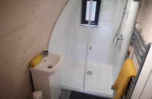 Bushmills Apartamento | Ballyhemlin Pods - Haw thorn