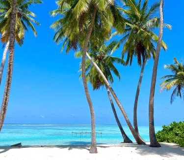 Nilandhoo Cama Y Desayuno | Balma Beach Inn