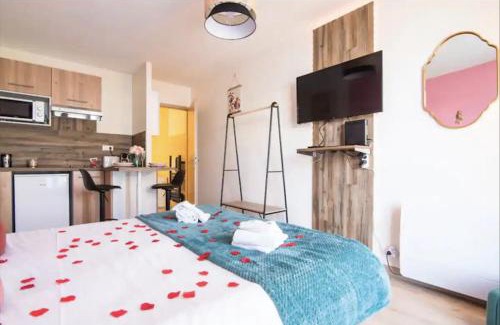 Illkirch-Graffenstaden Apartamento | Balnéo & Confort, Tram, Parking