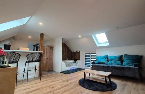 Quartier Saint-Clement - Jardin des Plantes Apartamento | Balnéo Nuits Douces Rouen