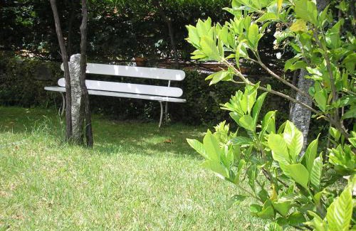Caldas de Reis Hotel | Balneario Hotel Dávila