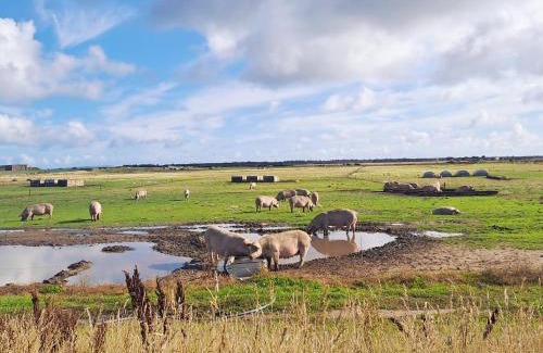 Lossiemouth Apartamento | Balormie View