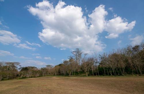 Masinagudi Casa | Bamboo Banks Farm & Guest House