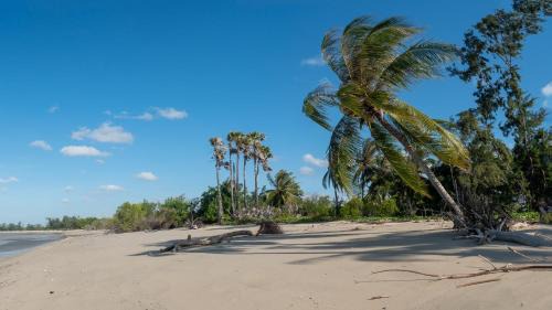 East Sumba Apartamento | Bamboo Paradise Retreat - East Sumba