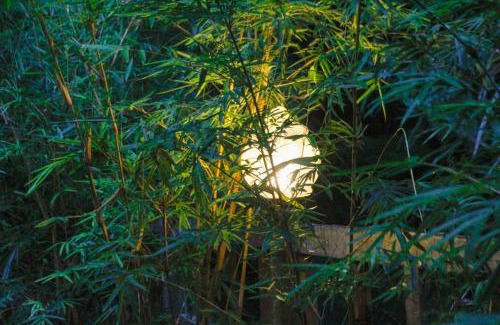 Bebandem Casa | Bamboohouse pondok salacca #salacca inn