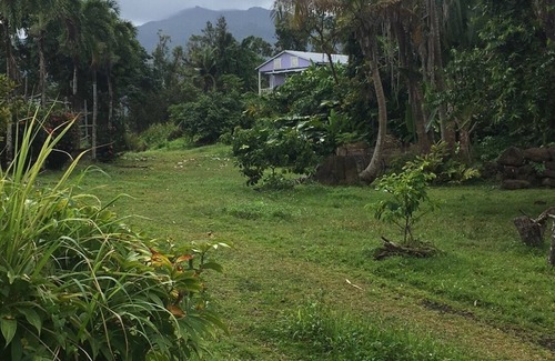 Guzman Abajo Casa | Sala de bananos de la selva tropical de El Yunque