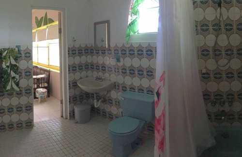 Guzman Abajo Casa | Sala de bananos de la selva tropical de El Yunque