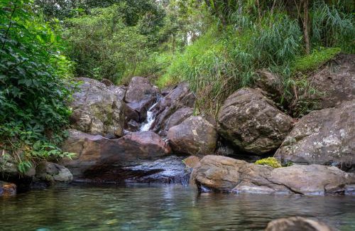 Vellamunda Complejo | Banasura Jungle Resort by Z Vacations