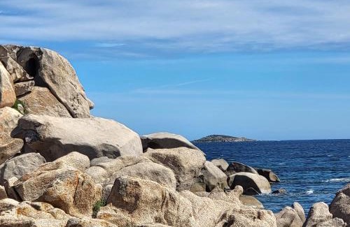 Conca Cama Y Desayuno | BandB - les rosiers - Corse - chambre Garance