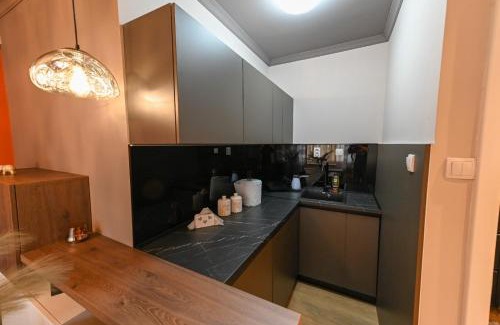 Kraljevo Apartamento | BANE APARTMANI 5