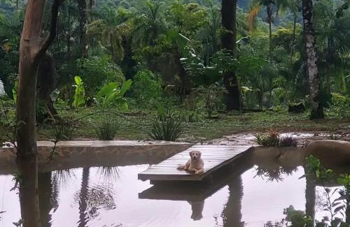 Paraty Chalet De Esquí | Bangalô do Lago